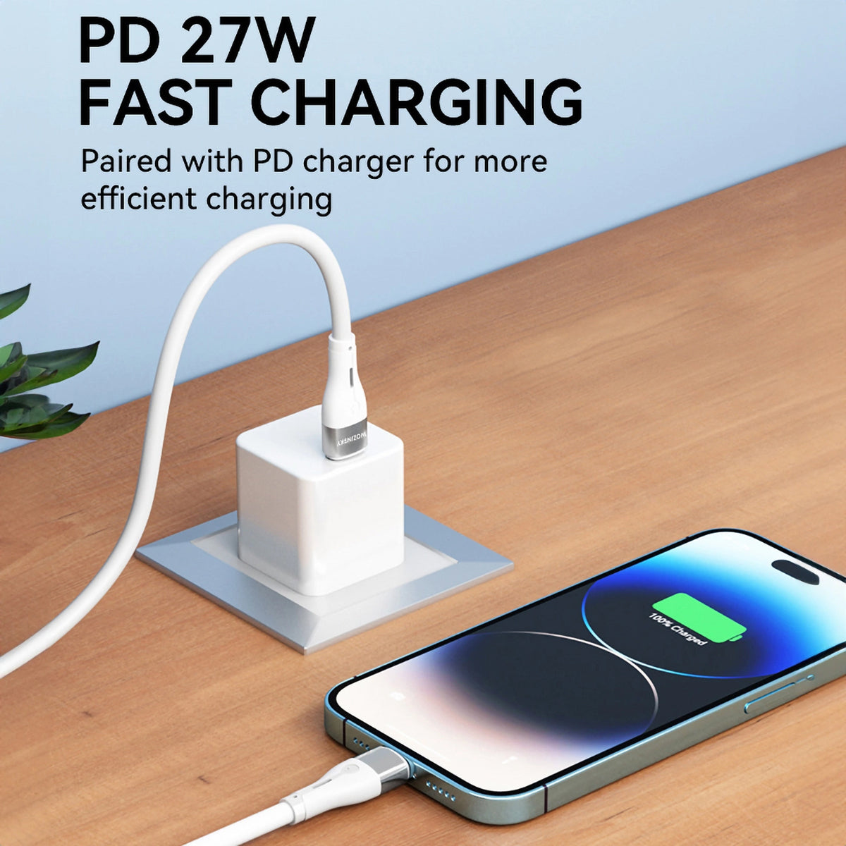 USB-C to Lightning Data and Charging Cable WZK WSTCL1, 27W, 1m, White
