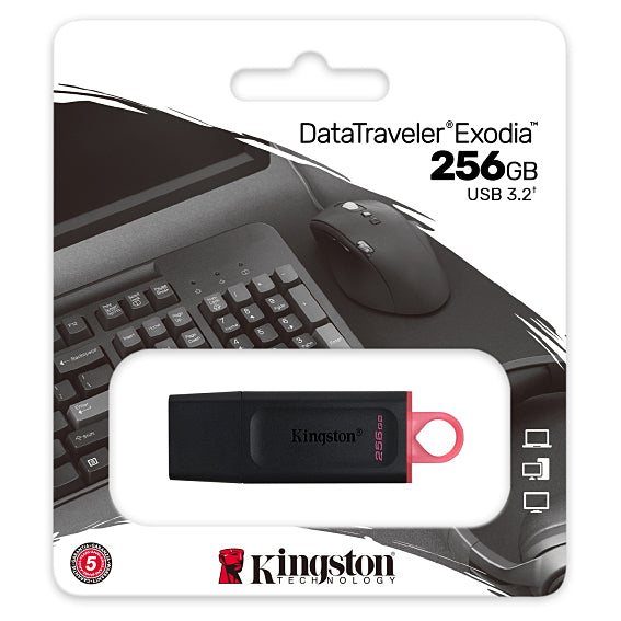 Externá pamäť USB-A 3.2 Kingston DT Exodia, 256Gb DTX/256GB