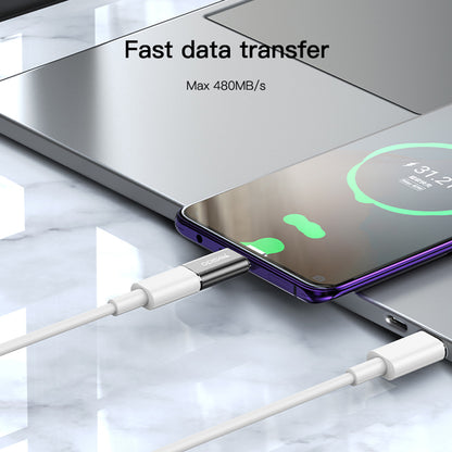 Adaptér na dáta a nabíjanie Lightning - USB-C Yesido GS22, Sivý