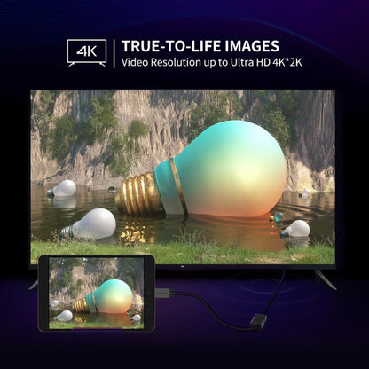 UGREEN 20137 Video Adapter, miniHDMI - HDMI, 4K, Black