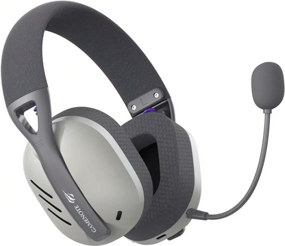 HAVIT Fuxi-H3 Wireless Gaming Headphones, Grey
