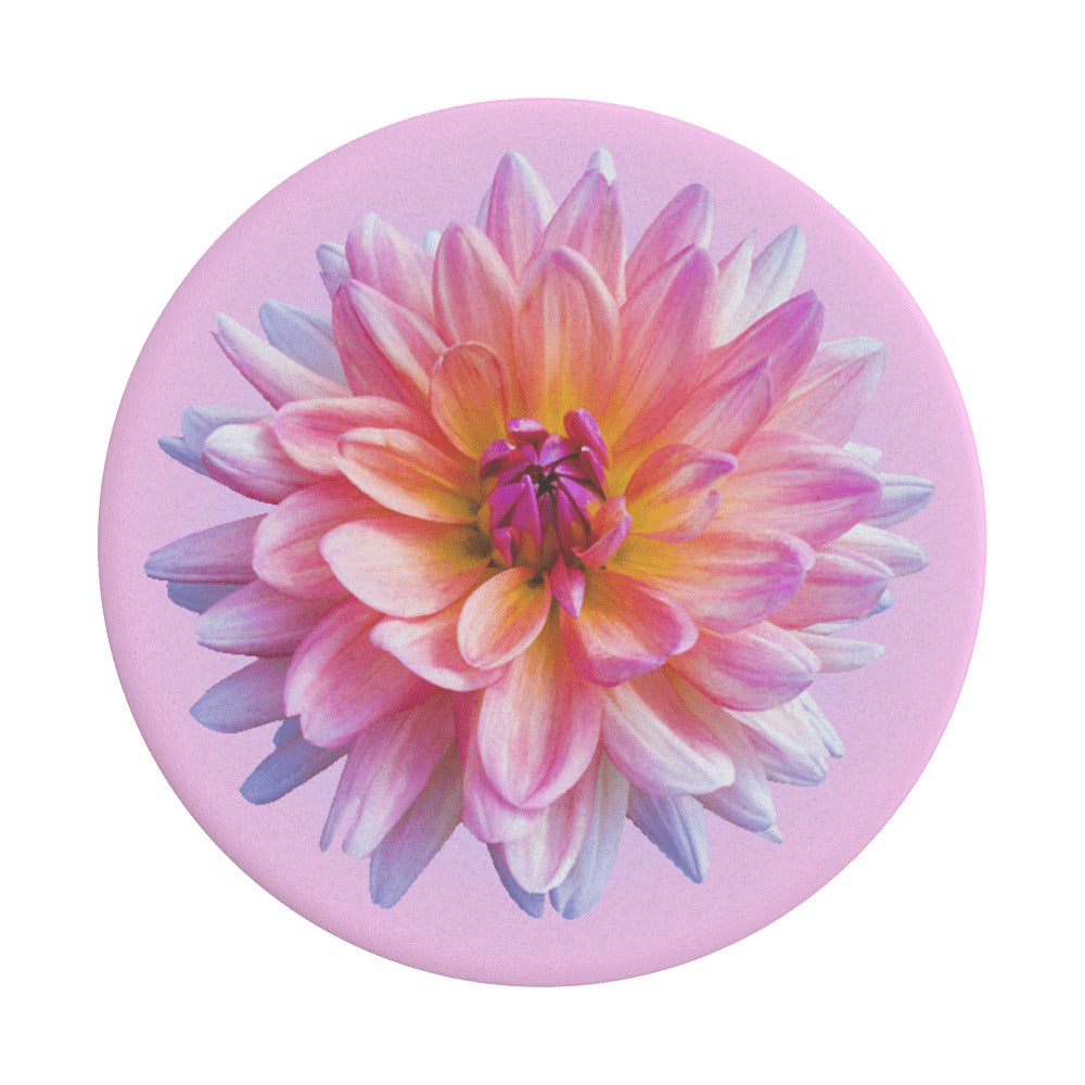 Podpora PopGrip Popsockets Dahlia Icon, Multicolor